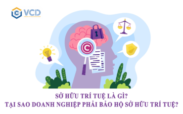 Sở hữu trí tuệ là gì?