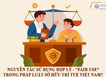 Nguyên tắc sử dụng hợp lý – “fair use” trong pháp luật sở hữu trí tuệ Việt Nam