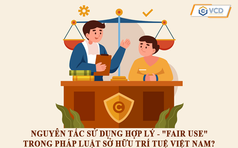 Nguyên tắc sử dụng hợp lý – “fair use” trong pháp luật sở hữu trí tuệ Việt Nam