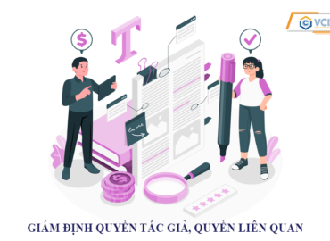 Giám định quyền tác giả, quyền liên quan